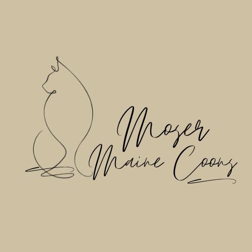 Moser Maine Coons